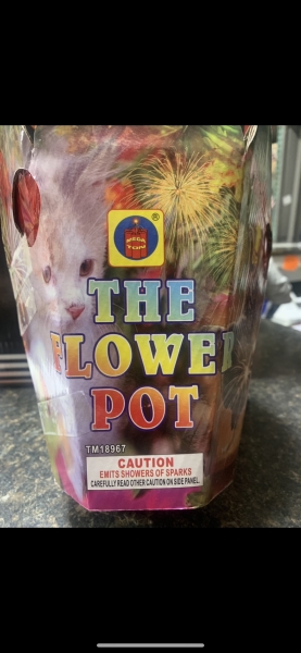 The Flower Pot