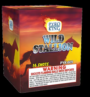 Wild Stallion