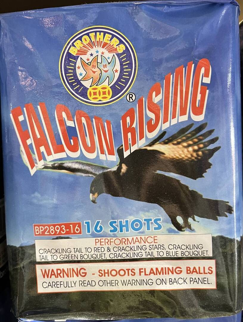 Falcon Rising