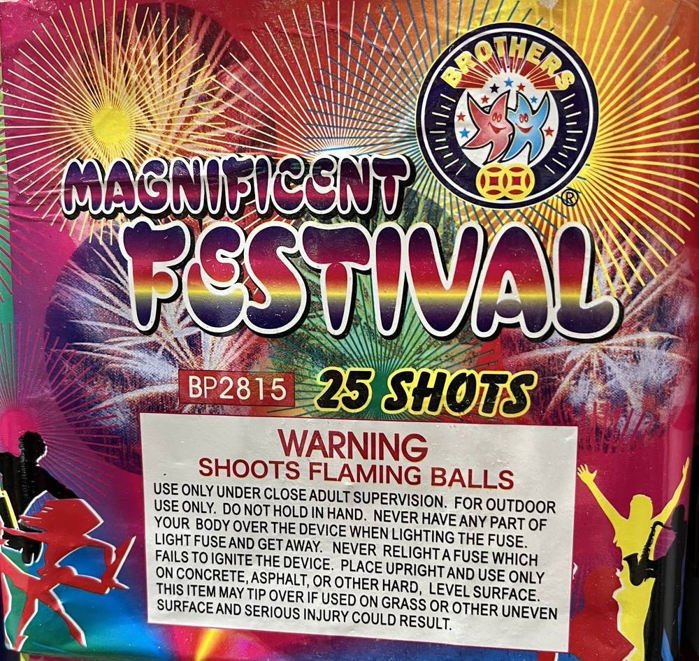 Magnificent Festival 25 Shots